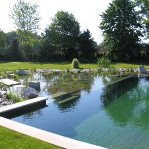 La piscine biologique : entre loisir et écologie